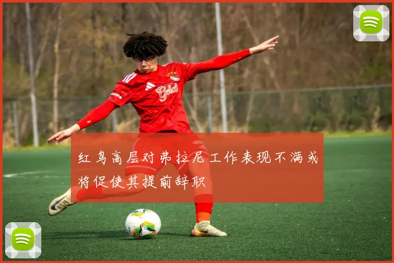 红鸟高层对弗拉尼工作表现不满或将促使其提前辞职