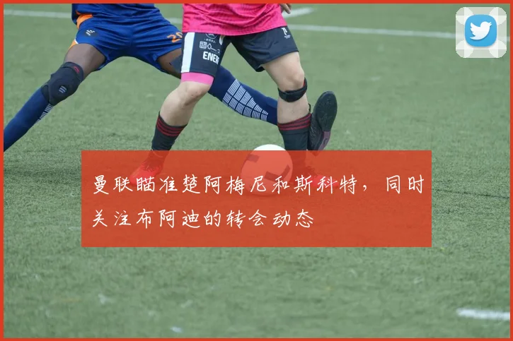 曼联瞄准楚阿梅尼和斯科特，同时关注布阿迪的转会动态