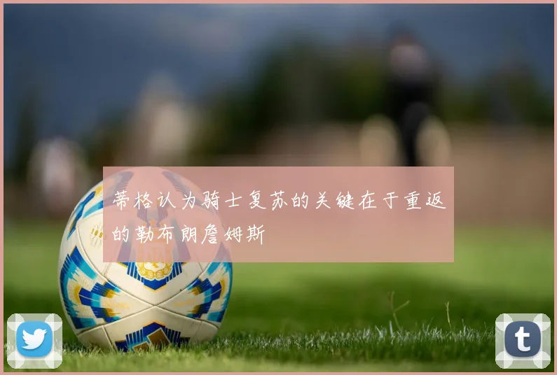 蒂格认为骑士复苏的关键在于重返的勒布朗詹姆斯