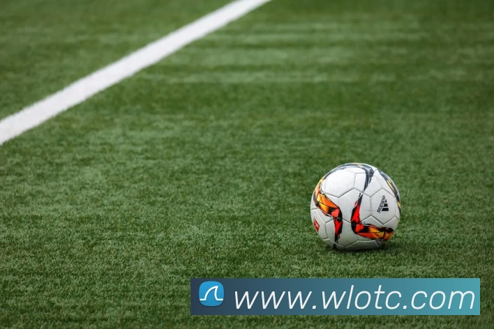 九游j9官网入口网页版APP 封面图